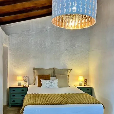 The Zarzamora Canary Little